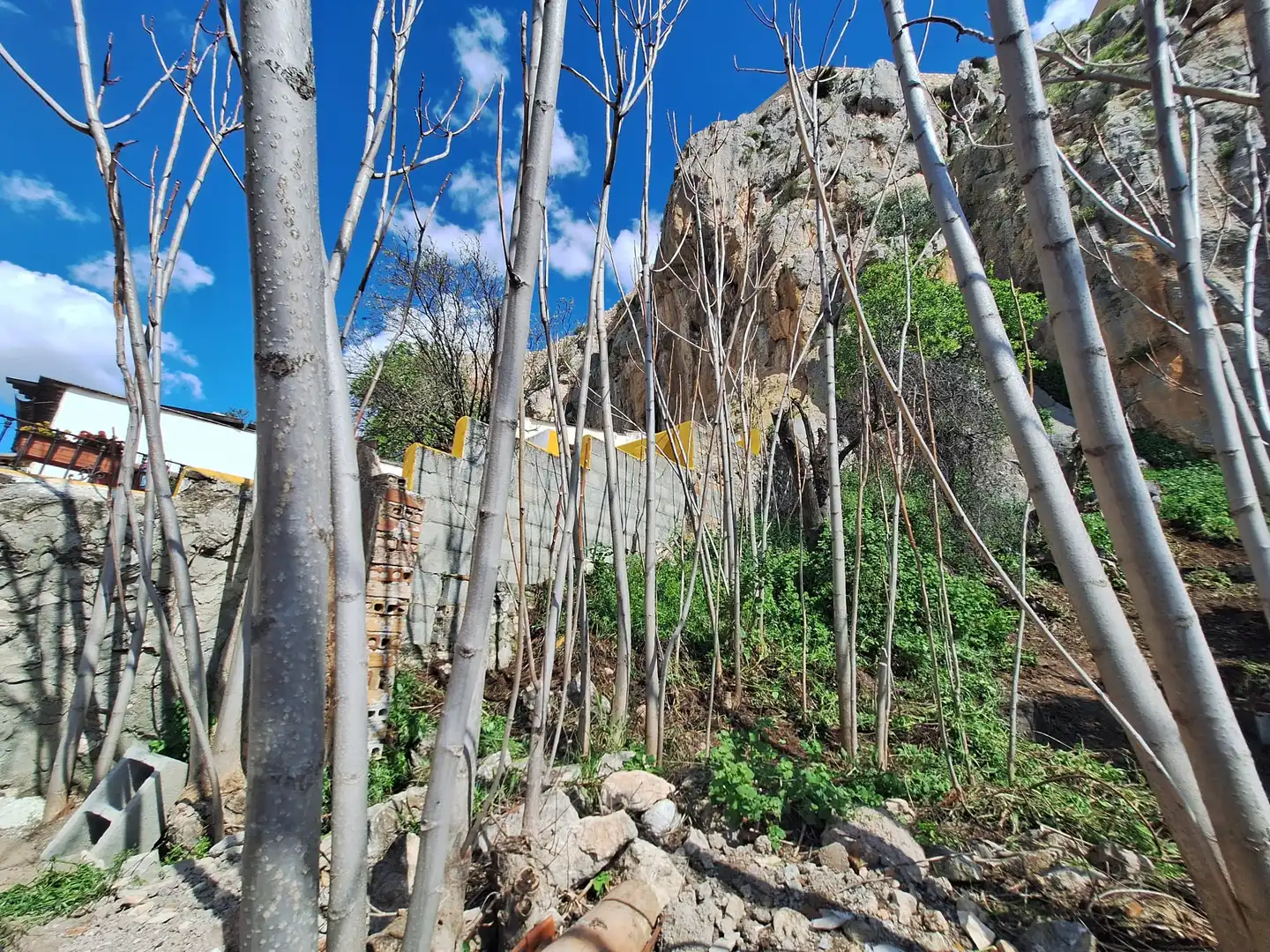 Casa en venda a Íllora, imagen 20