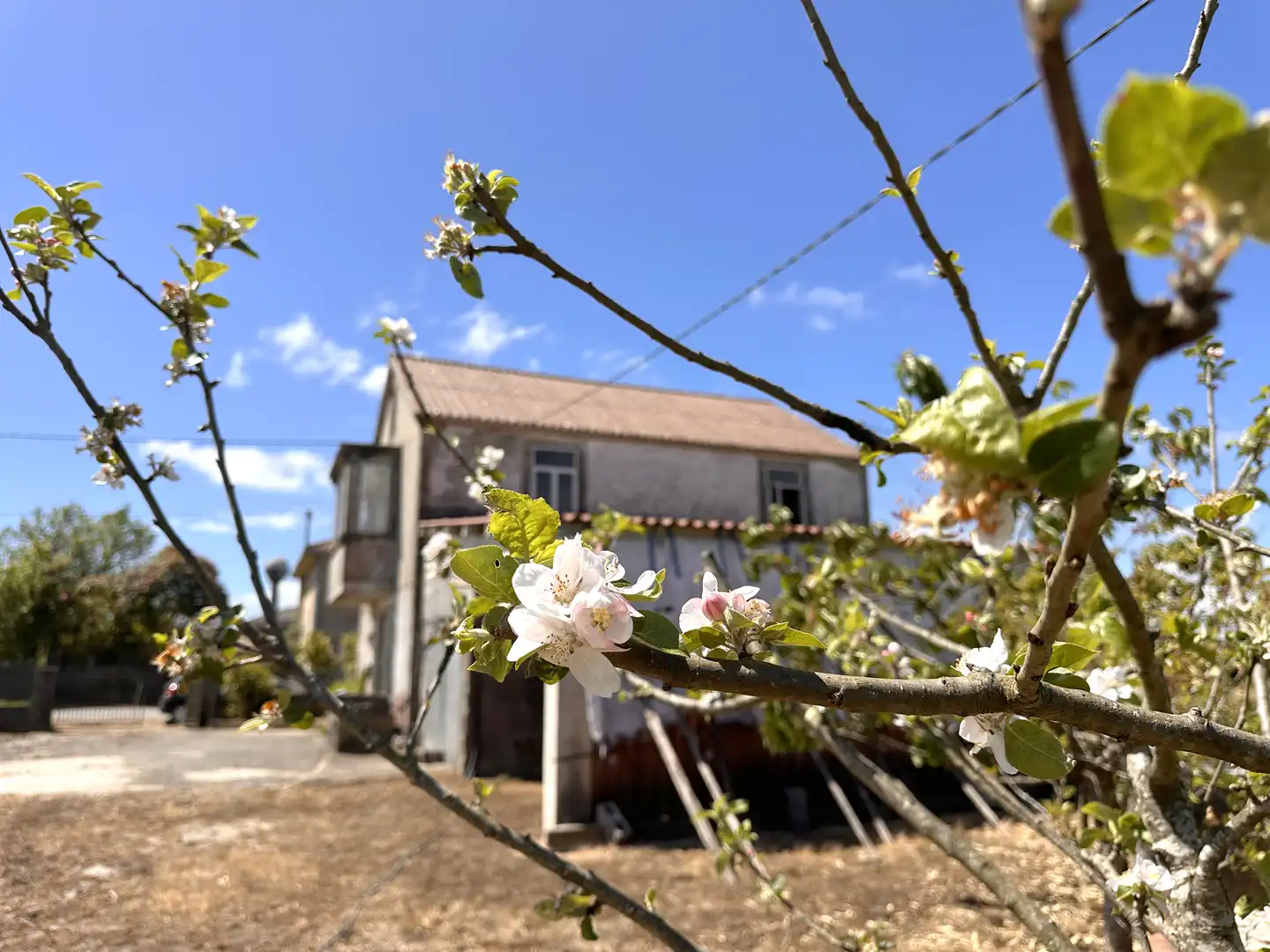 Exterior view of Houses for sale in A Baña  