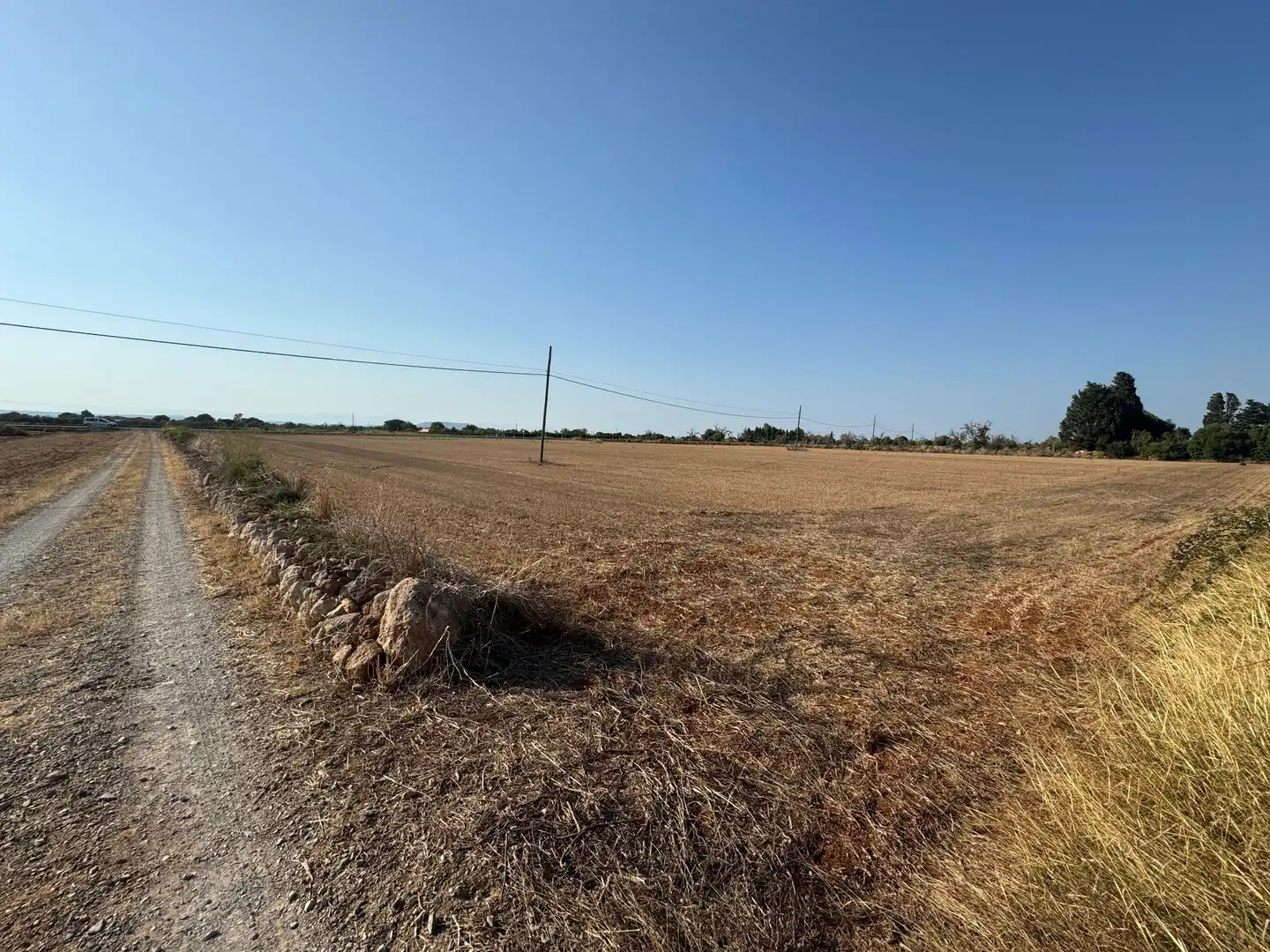 Rural land for sale in M14 Diseminado Primera Volta, imagen 7