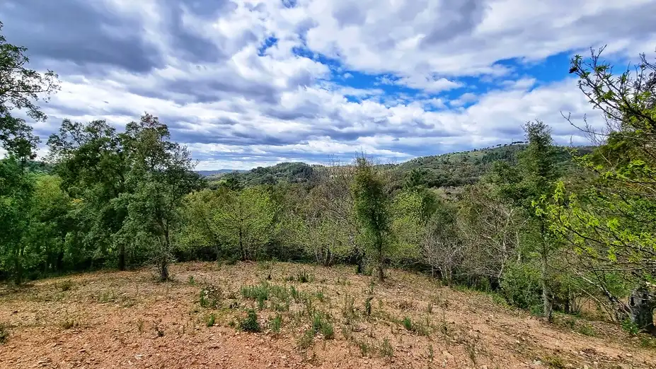 Terreny rústic en venda a Galaroza