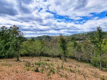 Terreno rústico en venta en Galaroza