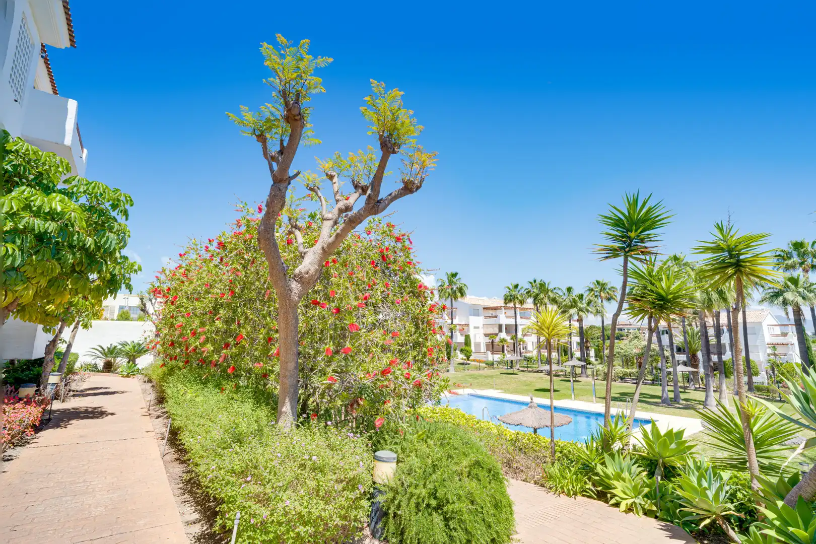 Apartment with terrace for sale in Selwo, imagen 32