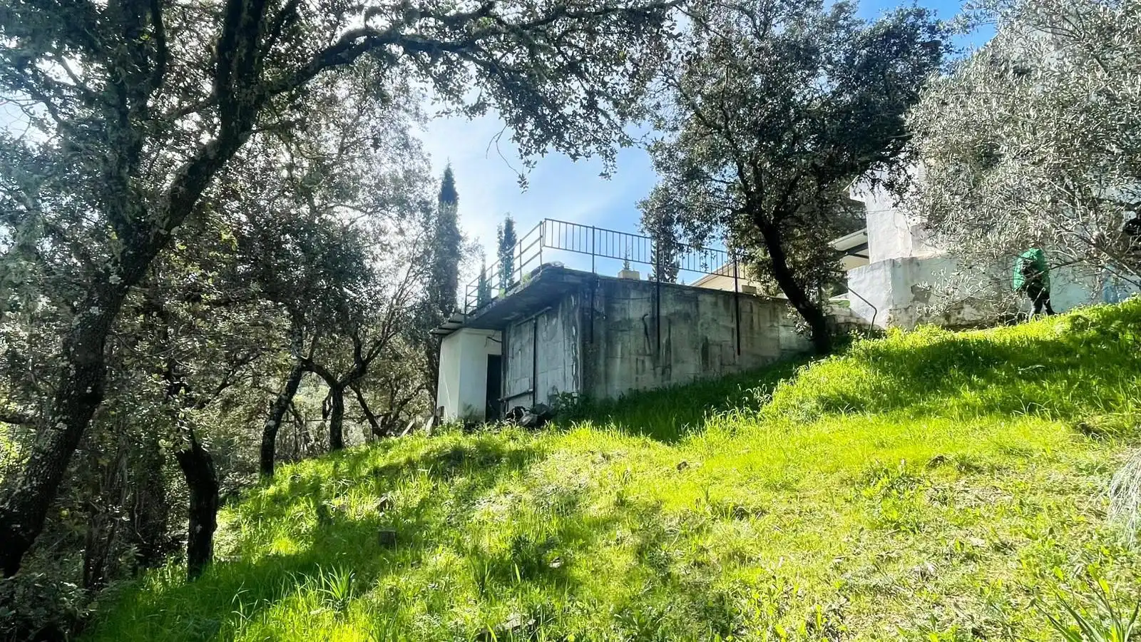 Vista exterior de Casa o chalet en venta en Espiel con Calefacción, Jardín privado y Terraza