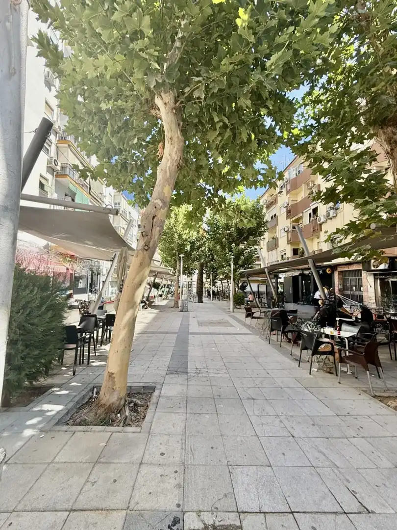 Piso con ascensor en venta en Barrio Alto, imagen 19
