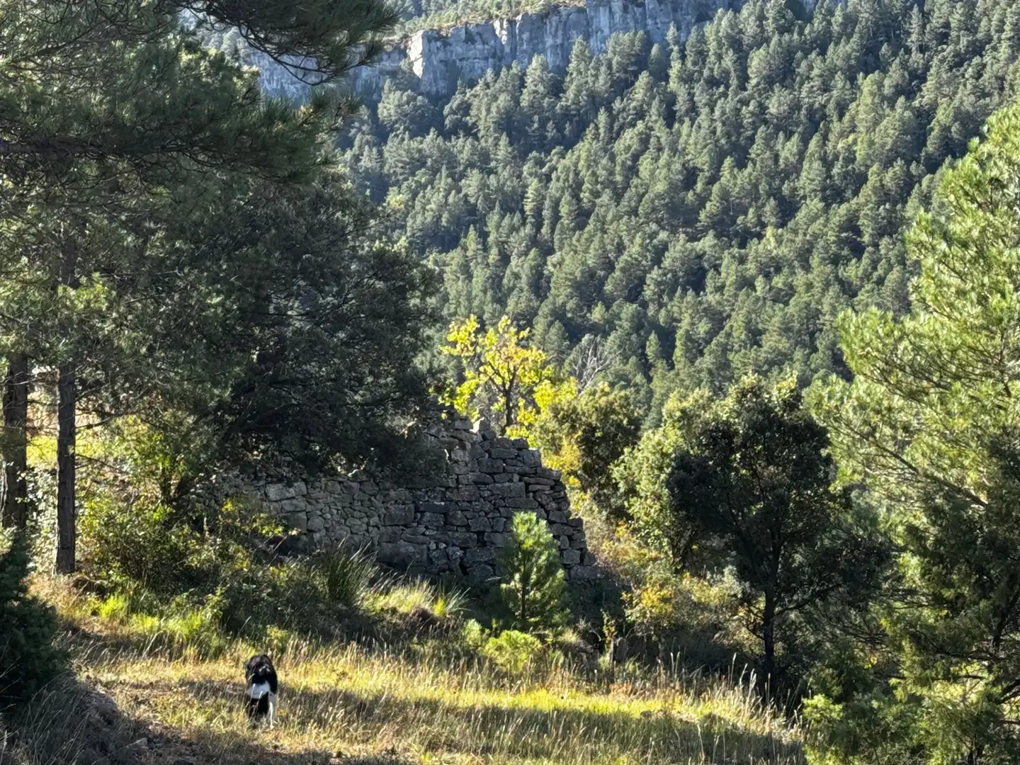 Terreni e lotti in vendita a Valderrobres, imagen 17