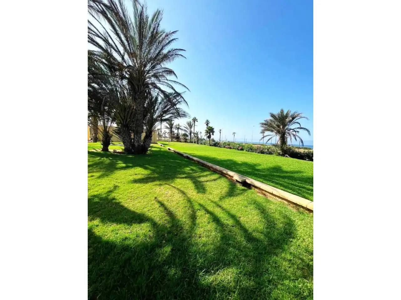 Garden of Apartments for sale in El Ejido  with Terrace and Community pool