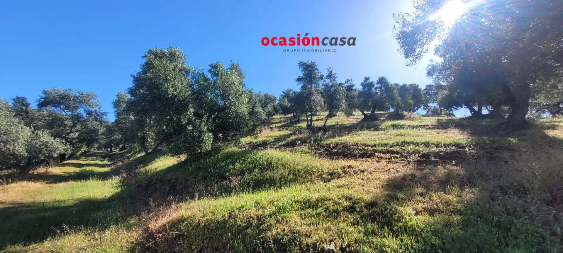 Casa rústica en venda a Pozoblanco, imagen 28
