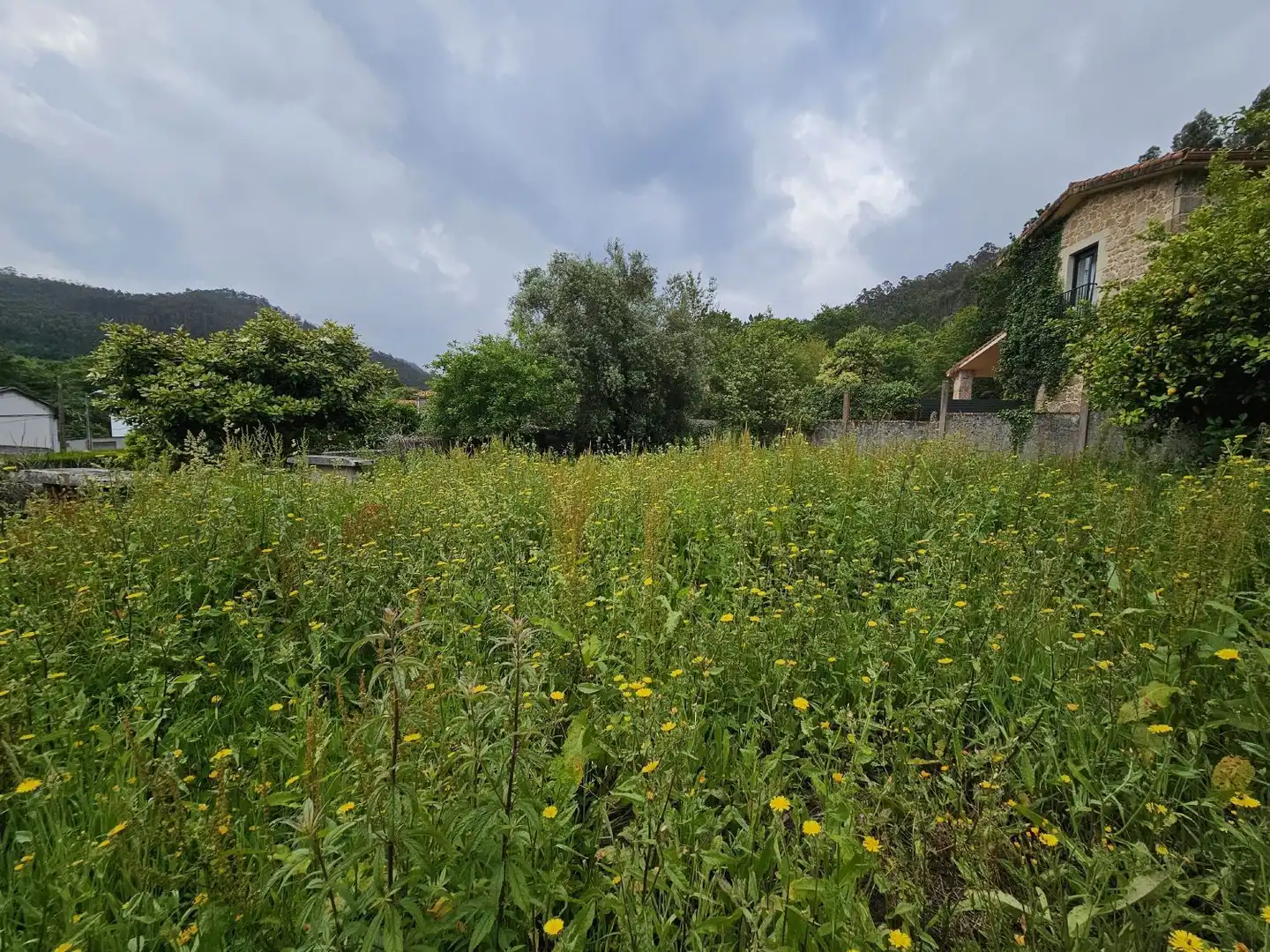 Casa o xalet en venda en Arteixo amb Jardí privat