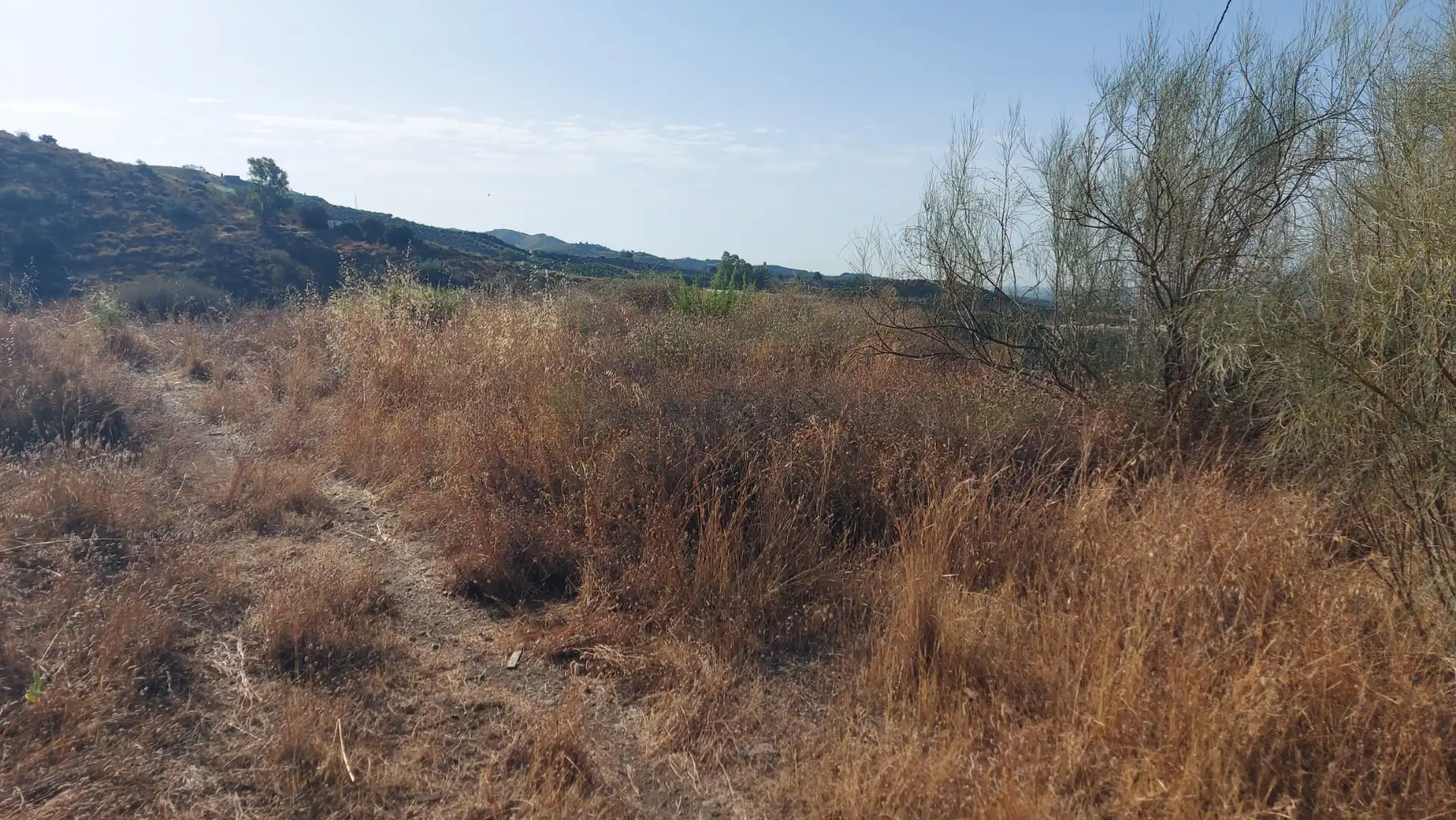 Terrain rustique à vendre à Vélez-Málaga ciudad, imagen 5
