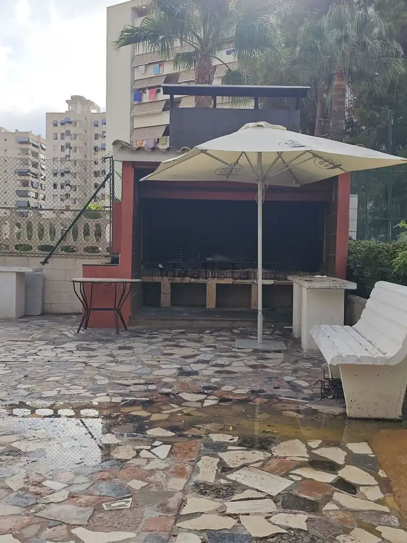 Flat with terrace for sale in Avenida Avenida Holanda 20, imagen 27