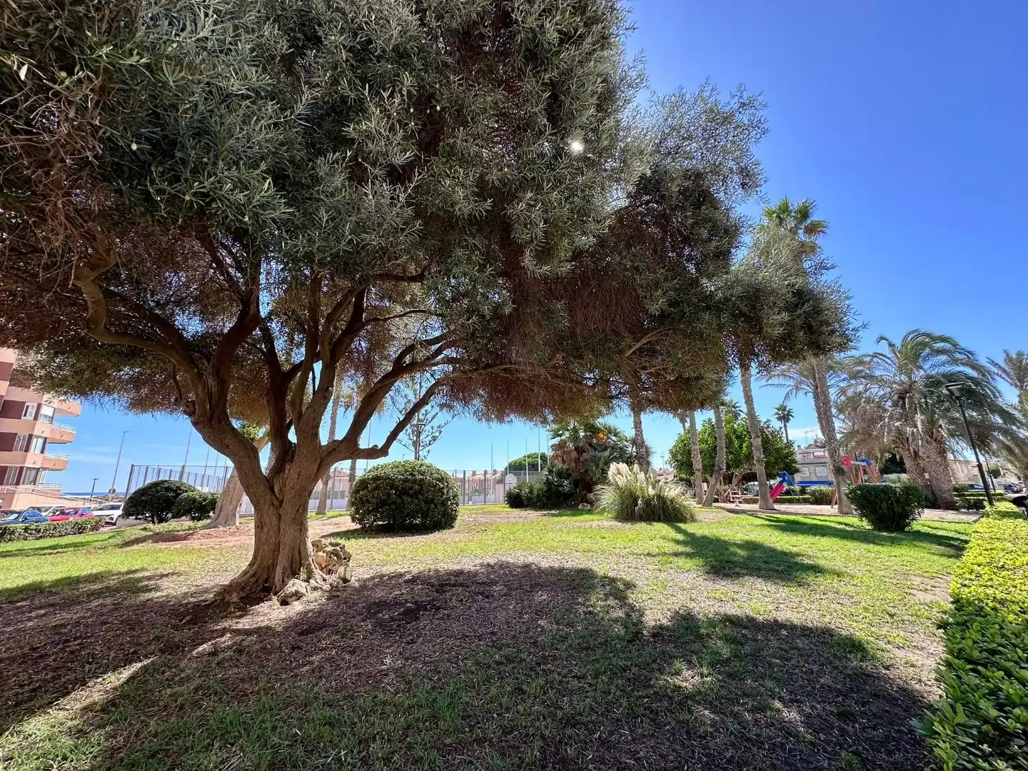 Flat for sale in Torrevieja  with Air Conditioner and Balcony