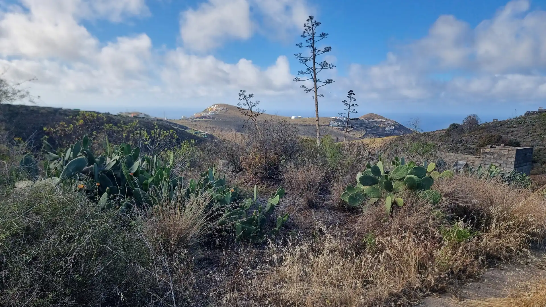 Terrenos y solares en venta en Diseminado Lomo las Azucenas 25, imagen 9