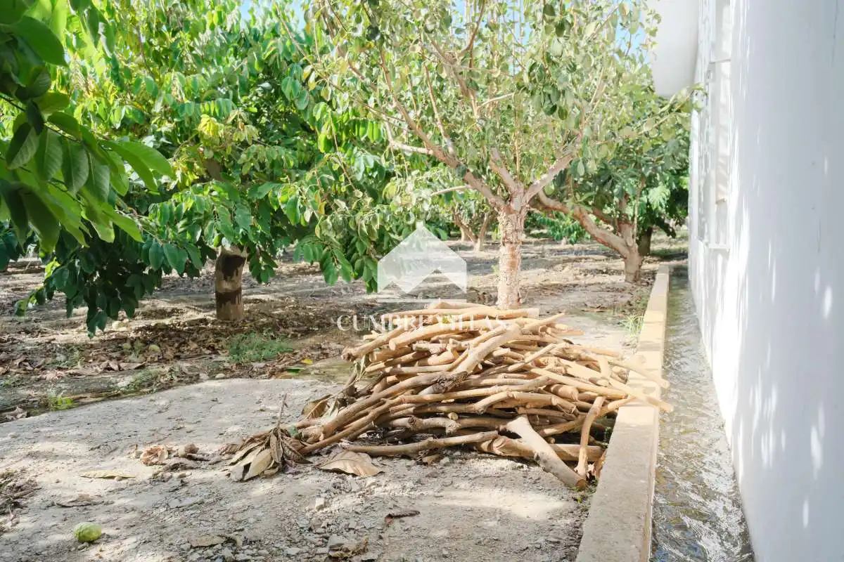 Finca rústica en venta en Centro