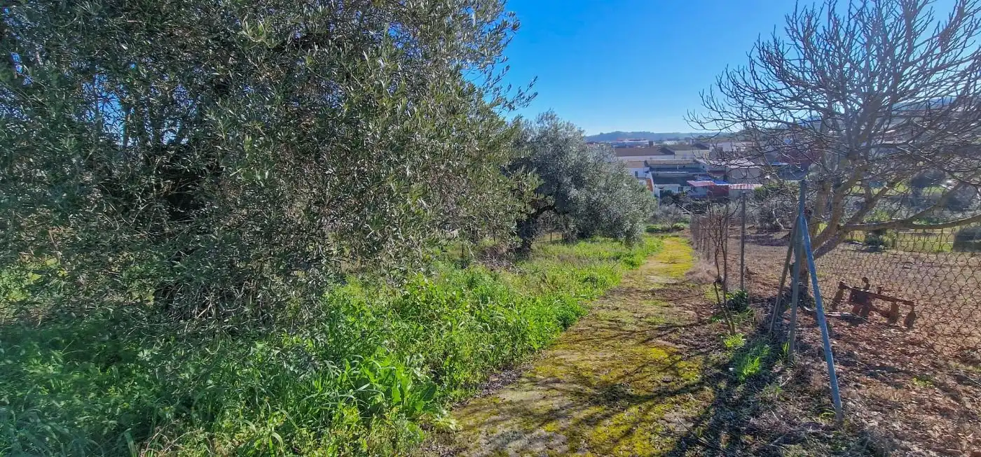 Finca rústica en venta en Salvatierra de los Barros con Jardín privado, Terraza y Trastero
