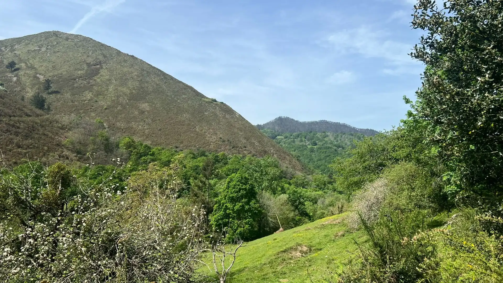Vista exterior de Casa o xalet en venda en Cangas de Onís amb Jardí privat