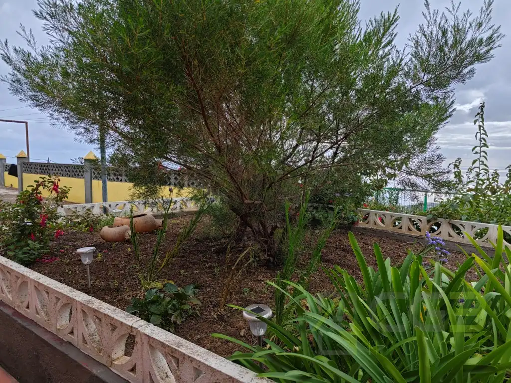 Jardín de Casa o chalet en venta en Breña Alta