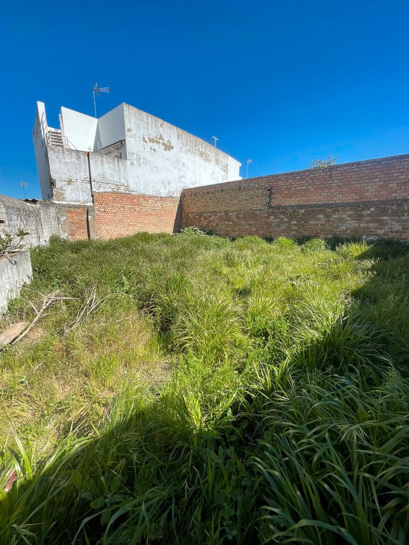 Finca rústica en venda en Valencina de la Concepción amb Jardí privat i Terrassa