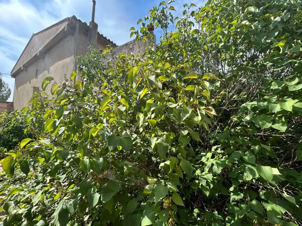 Casa o chalet en venta en Requena