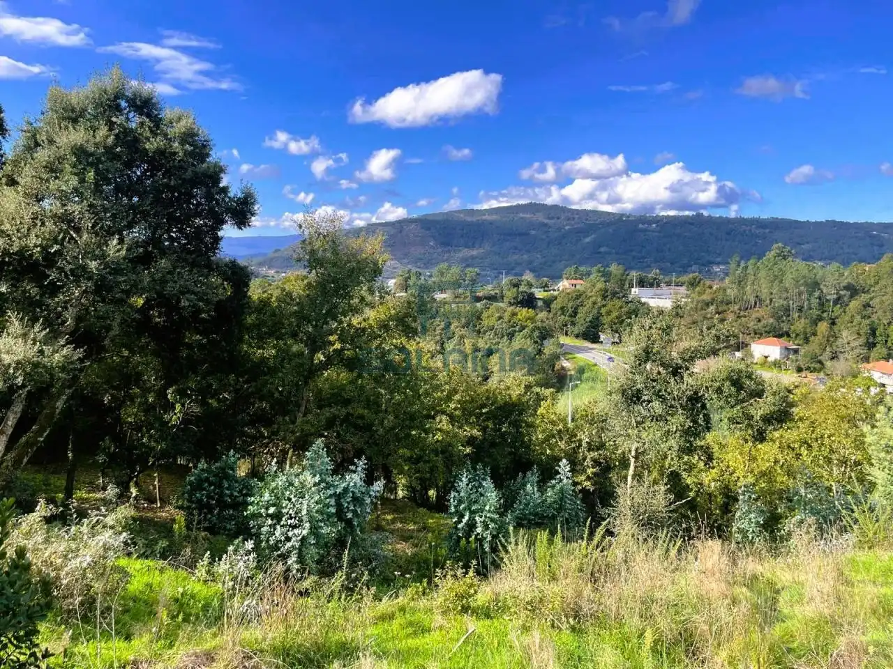 Terreni e lotti in vendita a San Rosendo, imagen 3