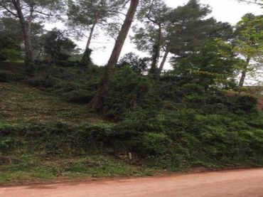 Terreno rustico in vendita a EMILI VENDRELL SR 4