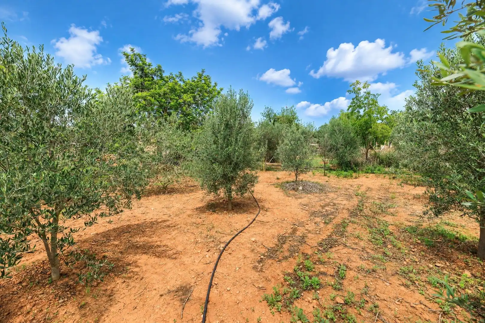 Casa o xalet en venda en Llucmajor amb Jardí privat, Terrassa i Traster