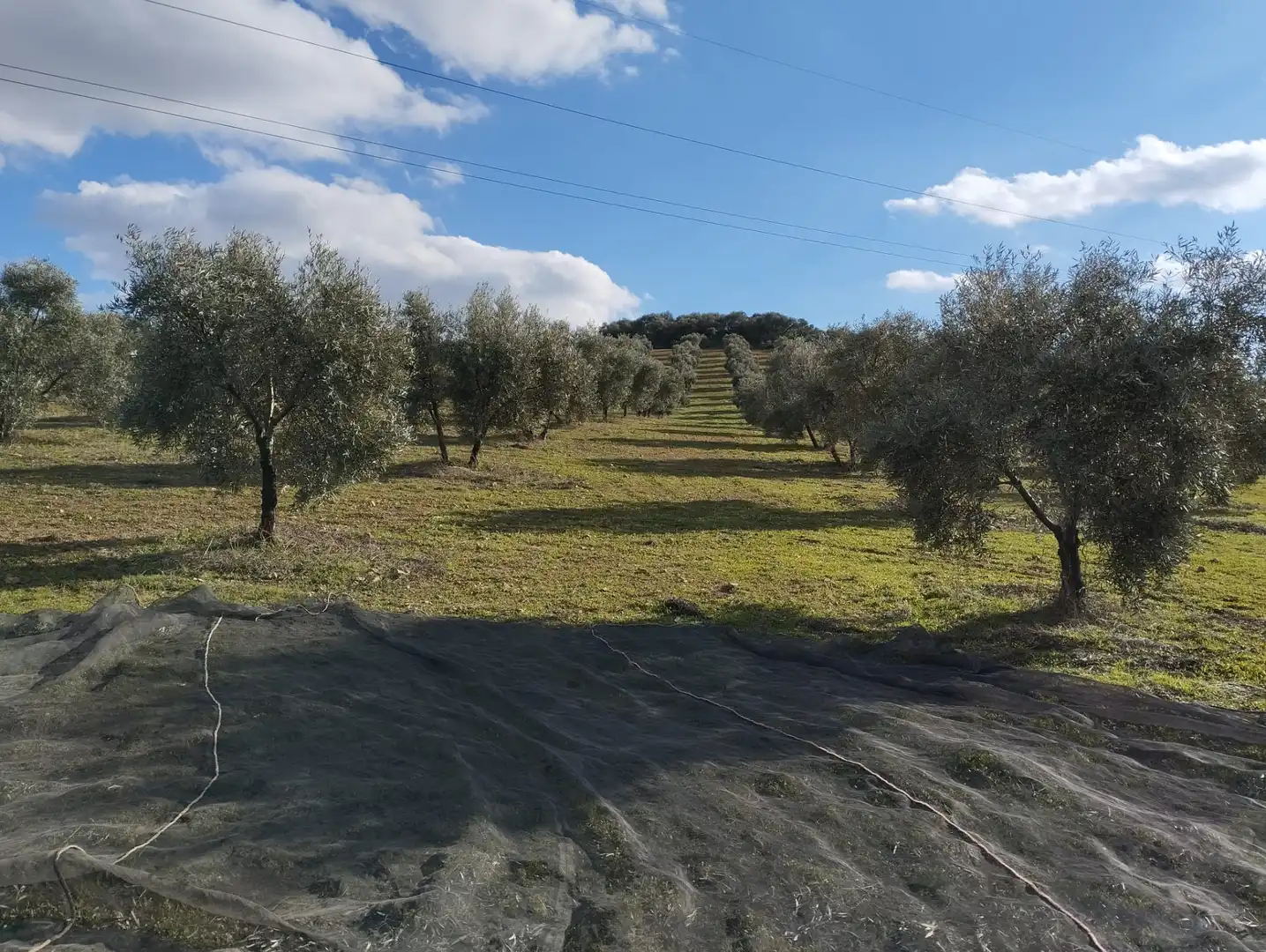 Rural land for sale in Calle Río Anzur, imagen 4