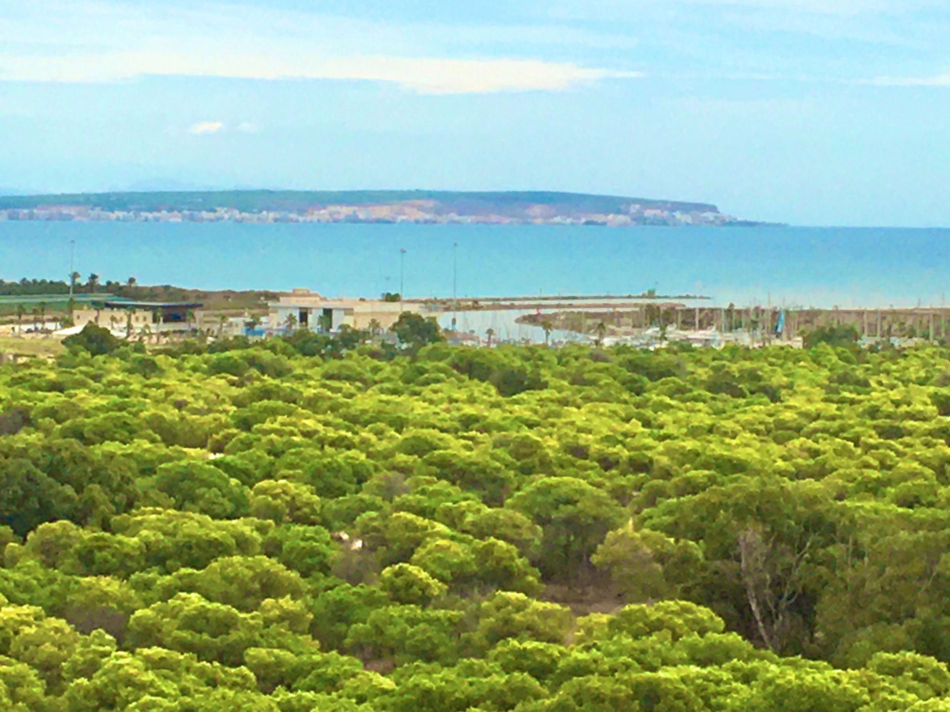 Apartament en venda a Carrer Celestino Verdú, Puerto Deportivo