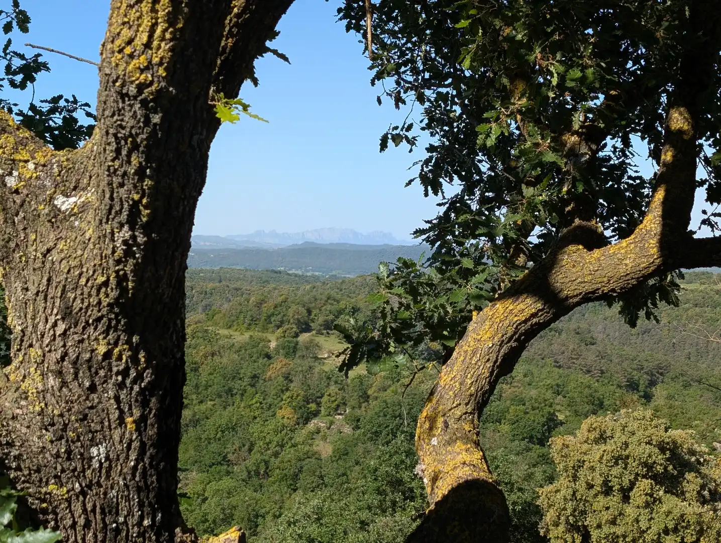 Außenansicht von Country house zum Verkauf in Balenyà