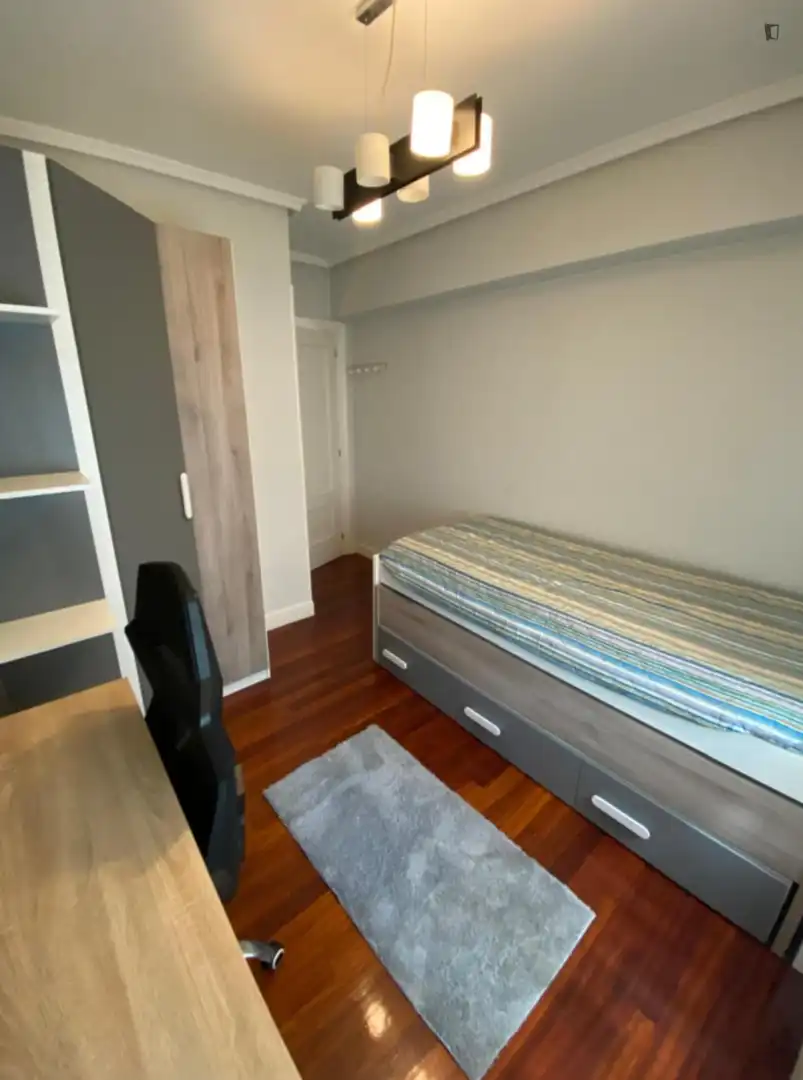 Bedroom of Apartments for share in Bilbao   with Furnished, Oven and Washing machine