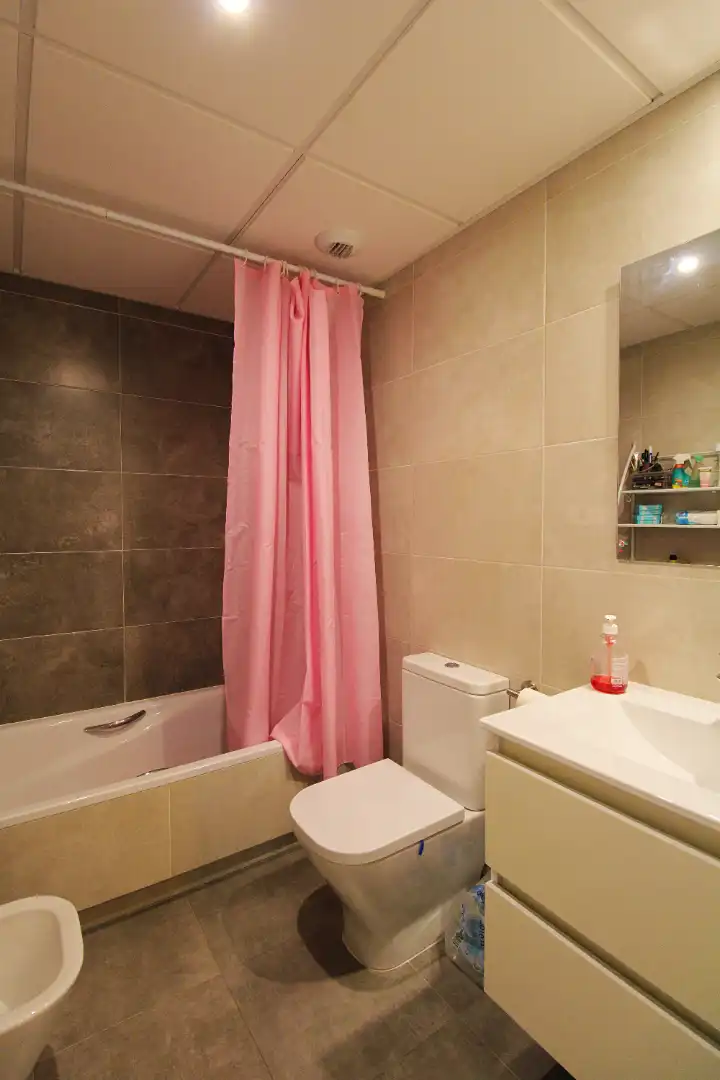 Apartments for rent in Centro