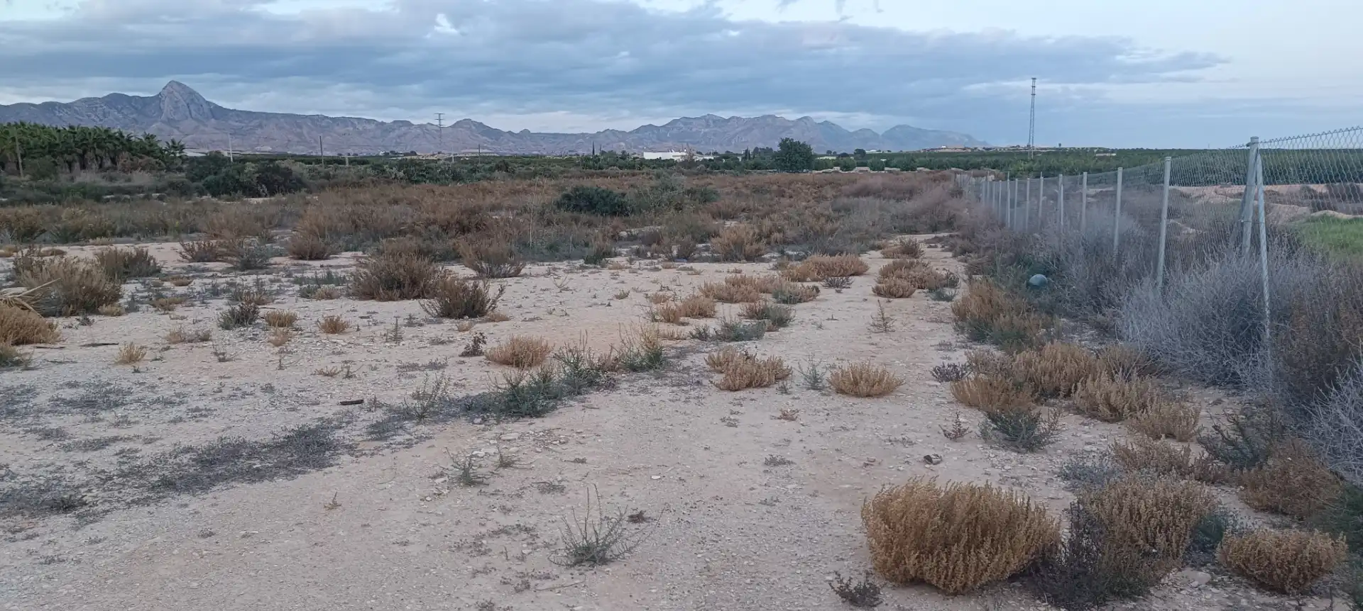 Finca rústica en venda en Elche / Elx amb Jardí privat