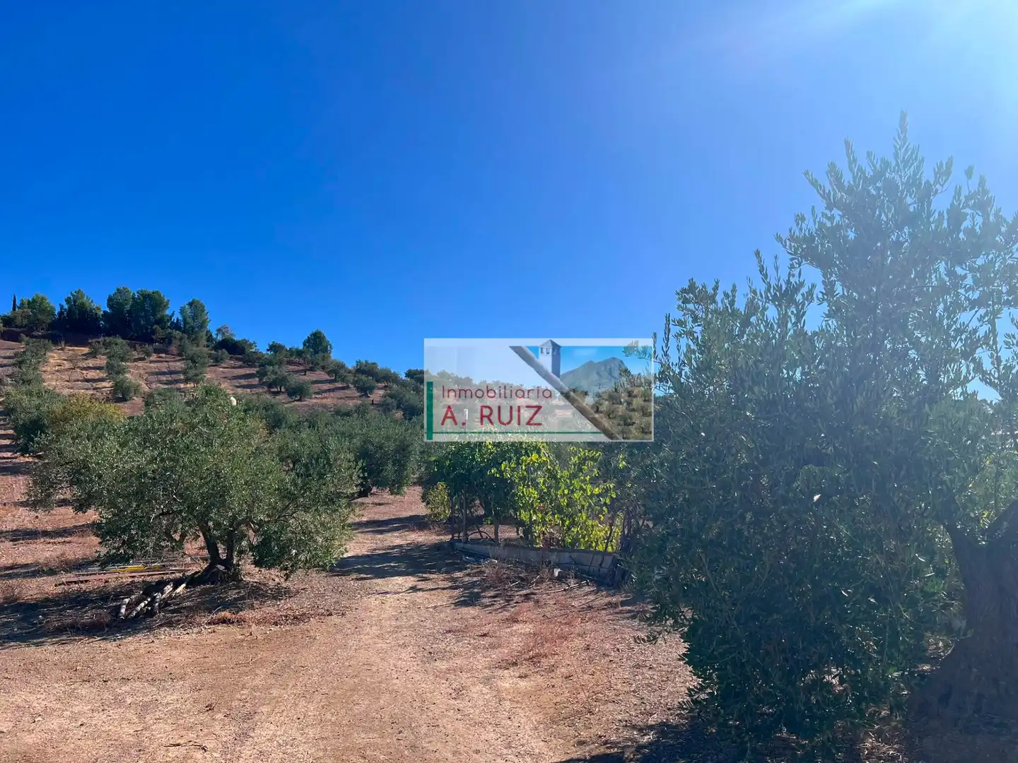 Landhaus zum Verkauf in Priego de Córdoba, imagen 24