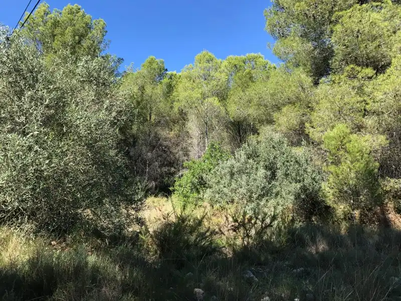 Terreno rústico en venta en Carrer Ametler, imagen 5