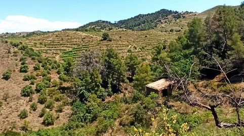 Foto 2 de Finca rústica en venta en Rocafort, Gratallops, Tarragona