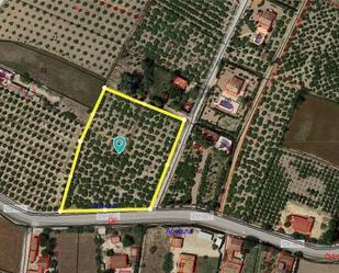 Residential for sale in Daya Nueva