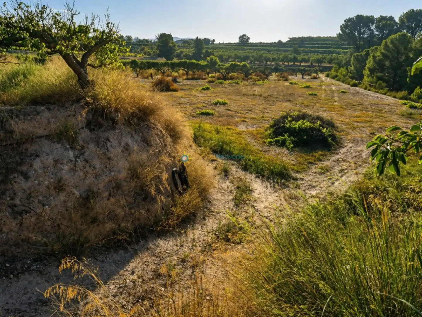 Finca rústica en venta en Albaida con Jardín privado y Trastero