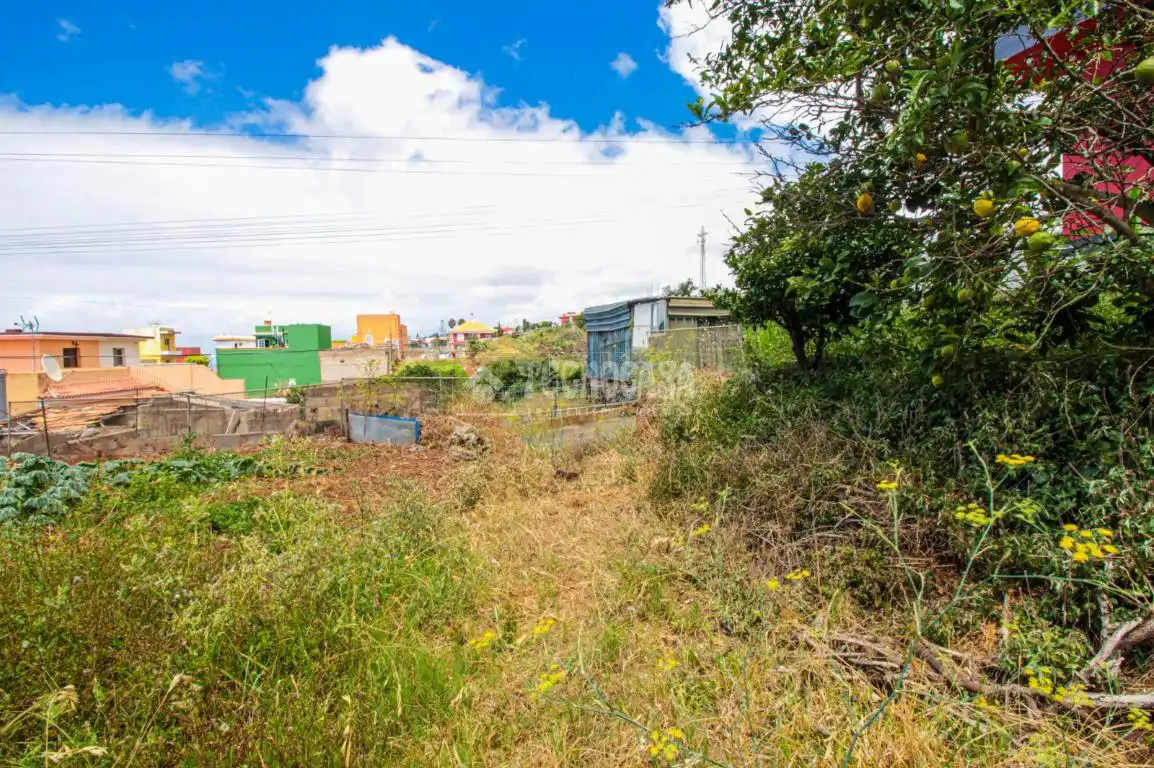 Terreno residencial en venta en El Sauzal, imagen 3