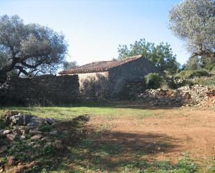 Finca rústica en venda a Partida Zona pou d'en calvo, Useras /  Les Useres