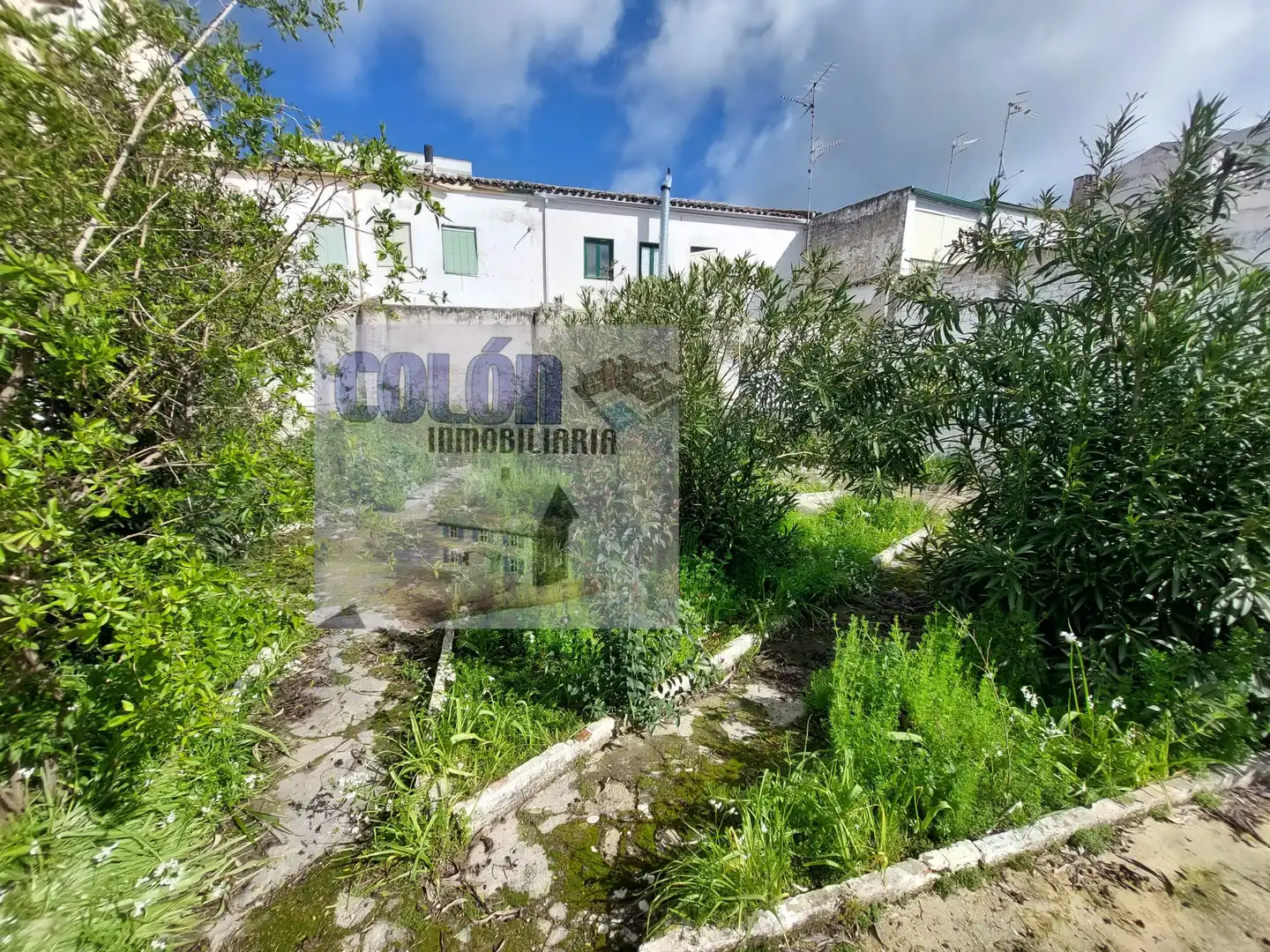 House with pool for sale in Martos, imagen 13