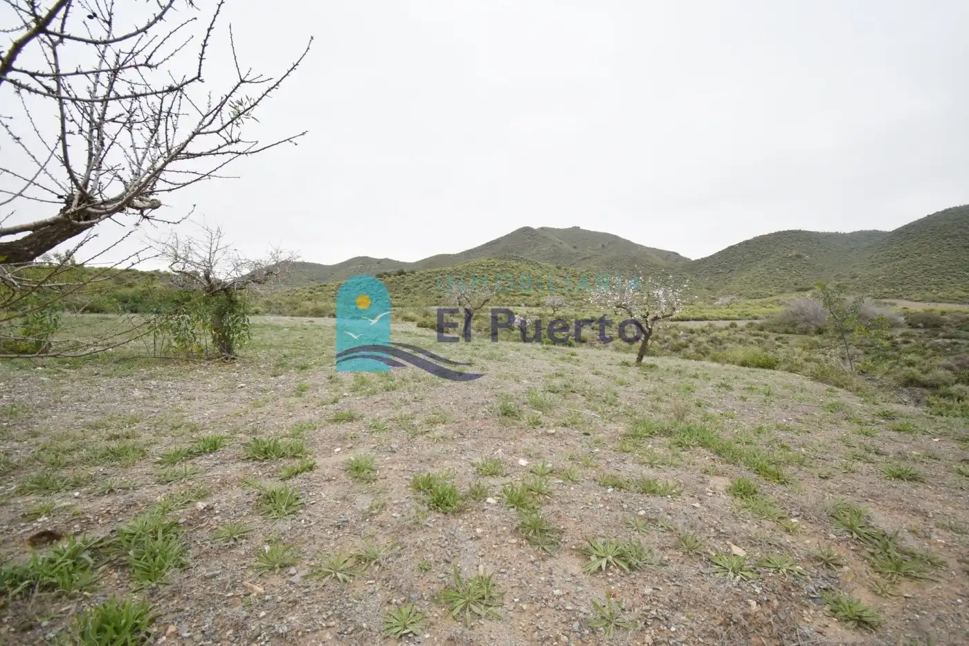 Terreno rústico en venta en Pedanías Oeste, imagen 12