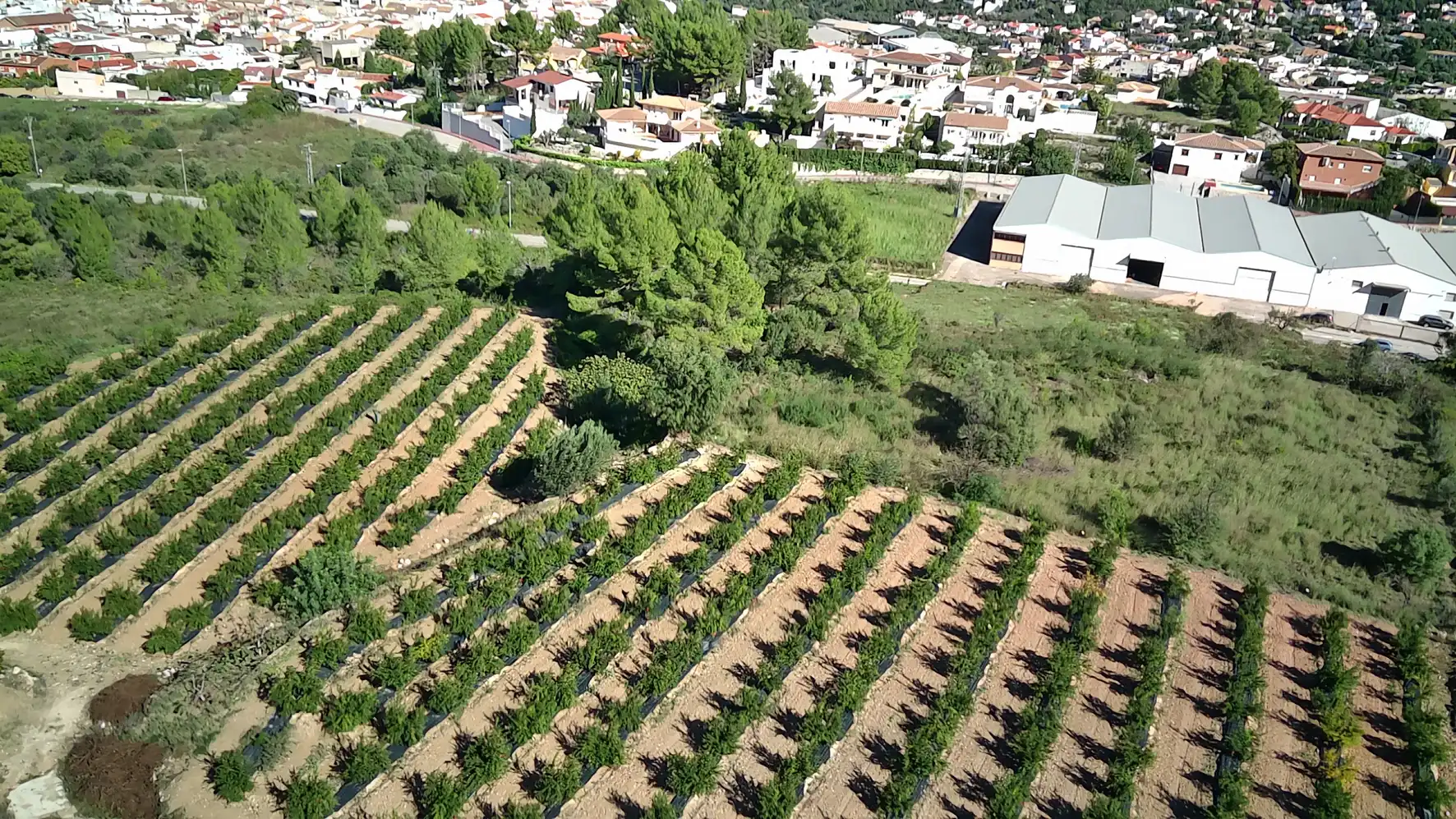 Terreno residenziale in vendita a Calles, imagen 6