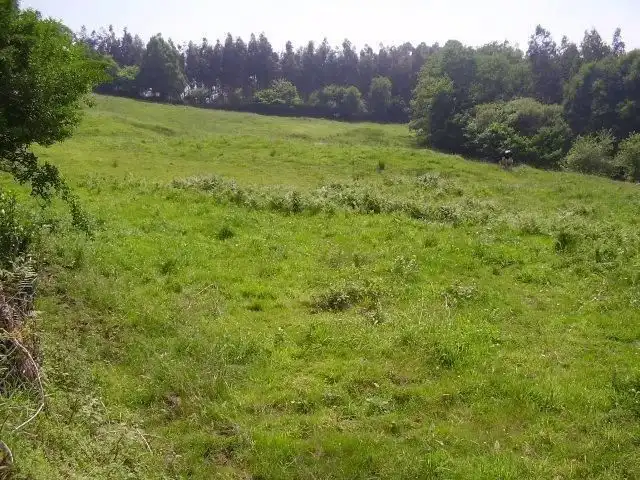 Terreno residencial en venta en Candamo