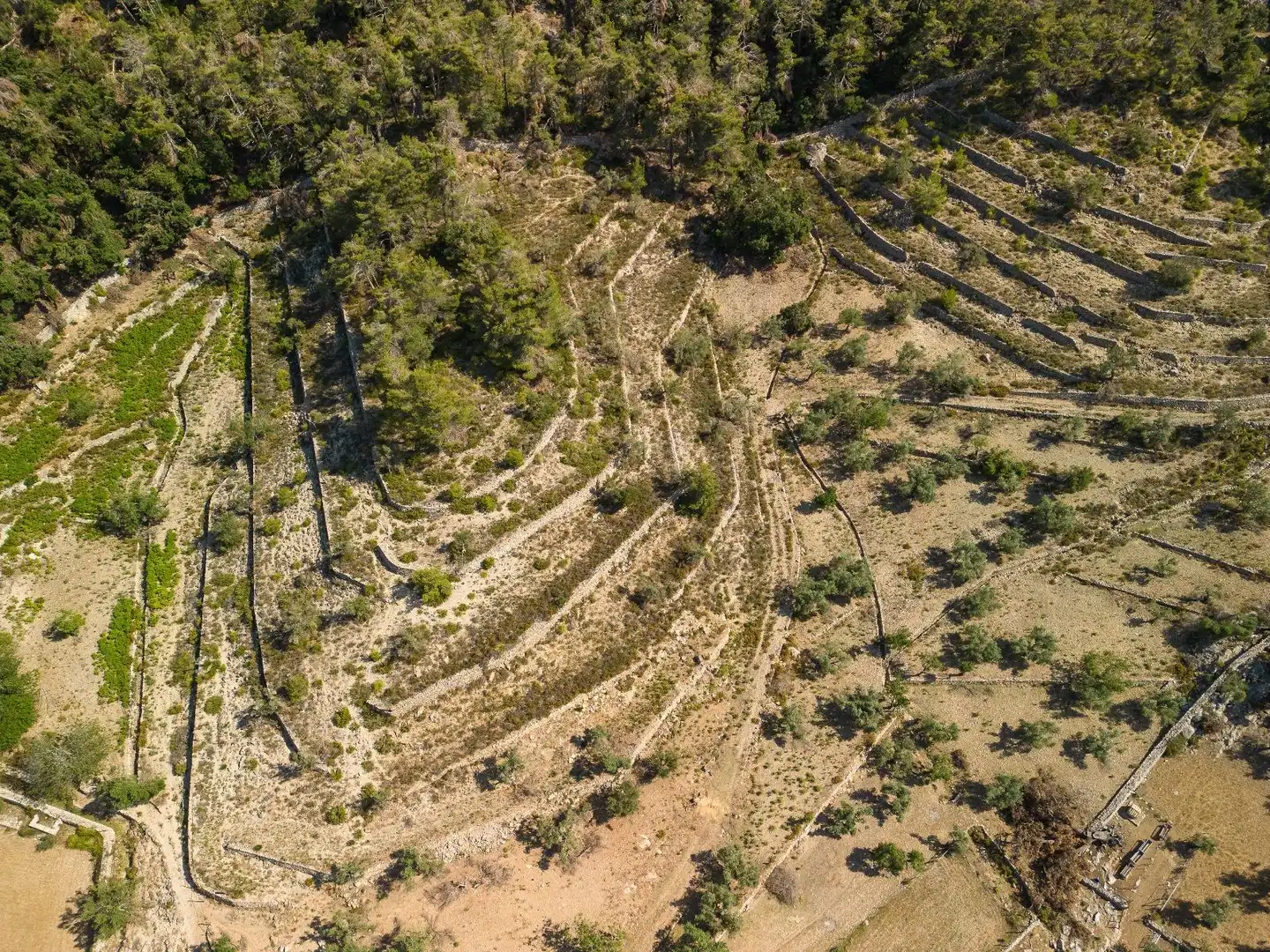 Finca rústica en venta en Escorca con Jardín privado, Terraza y Trastero