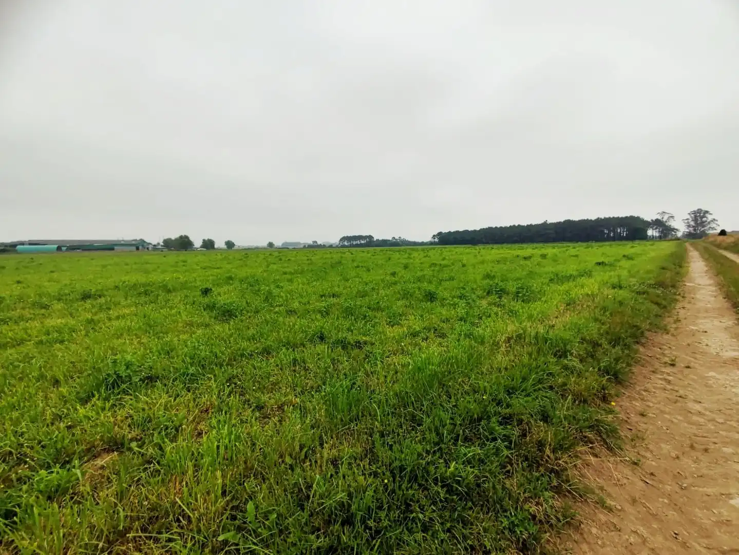 Terreno residencial en venta en Lugar Brul, imagen 13