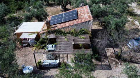 Foto 3 de Finca rústica en venda a Roquetes, Tarragona