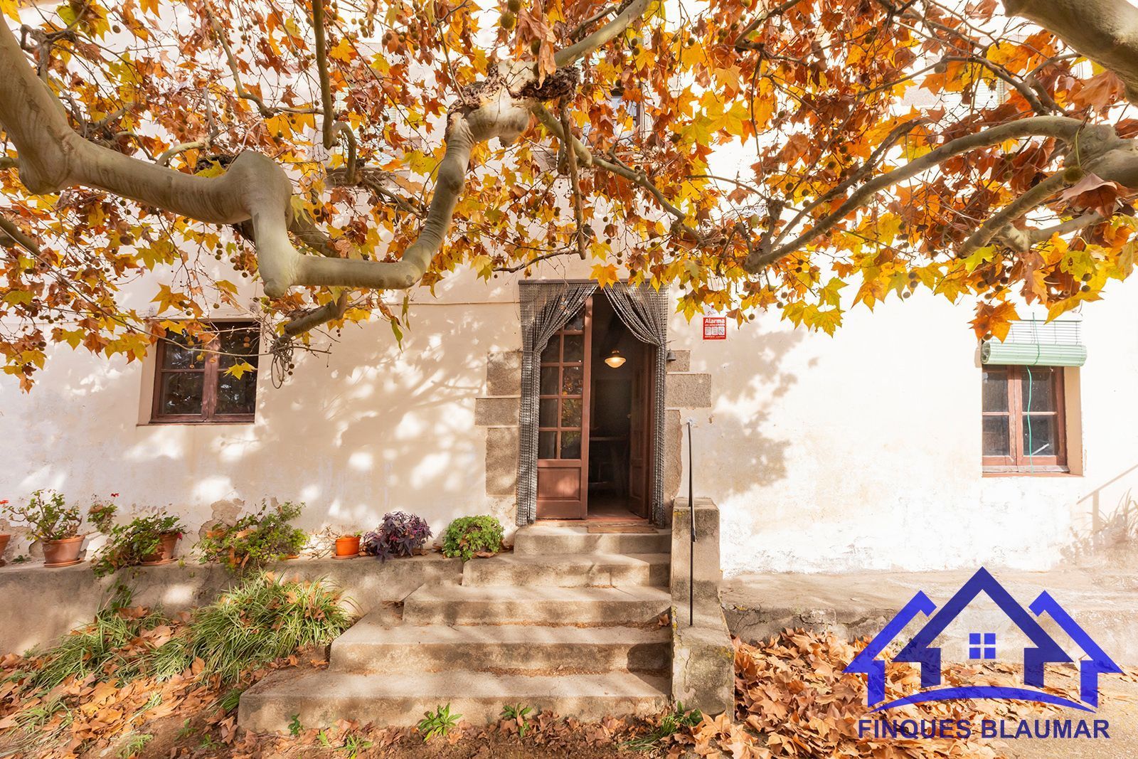 Country house for sale