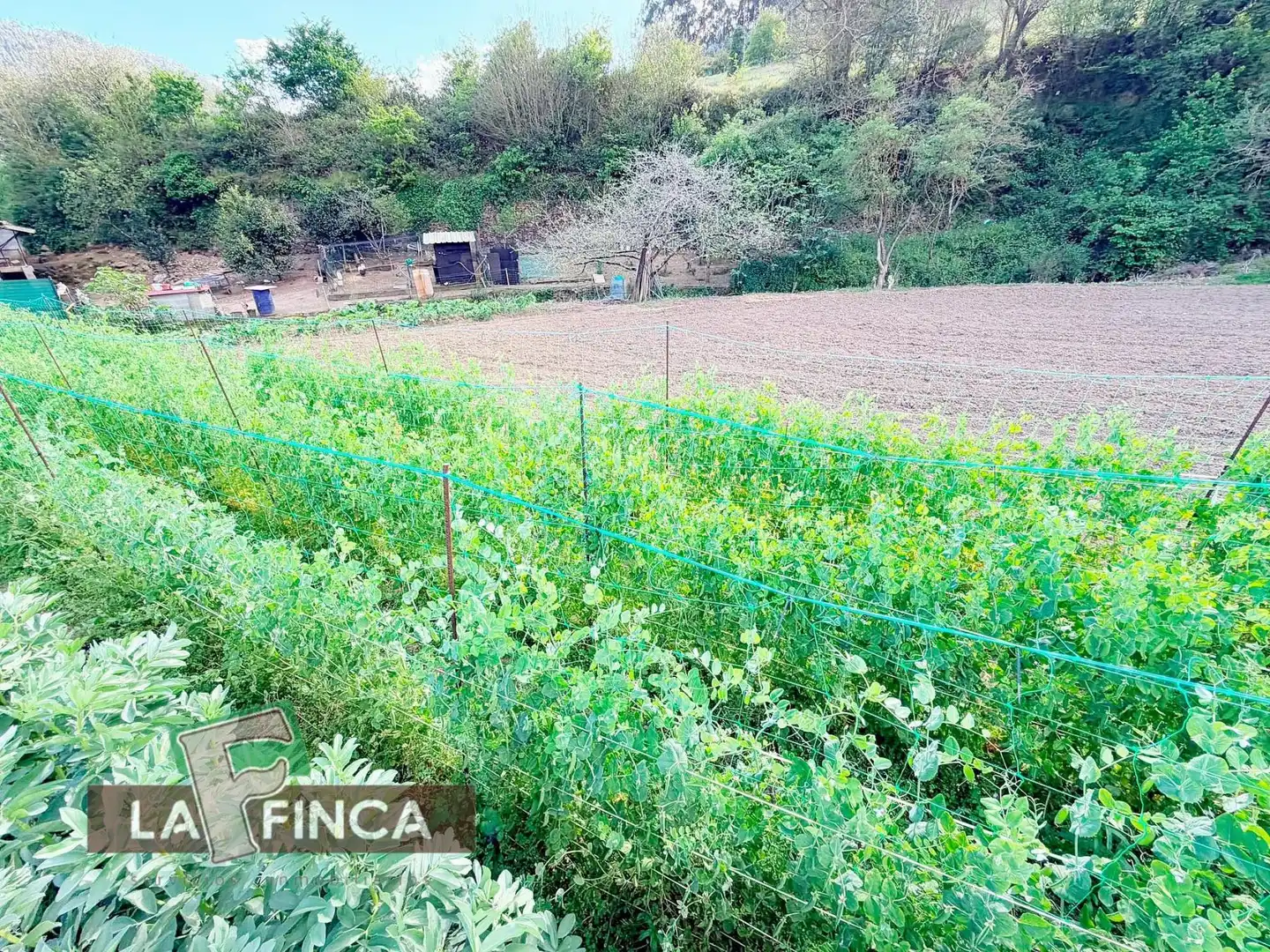 Residencial en venda a POLIGONO 9 AGONES, Pravia