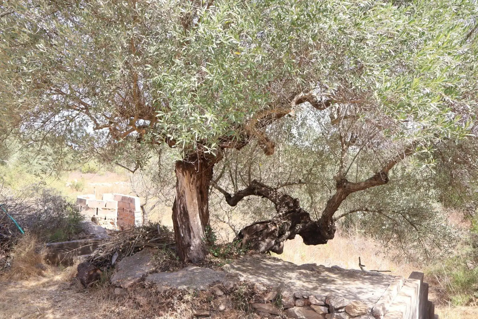 Casa rústica en venda a Vall d'Alba, imagen 45