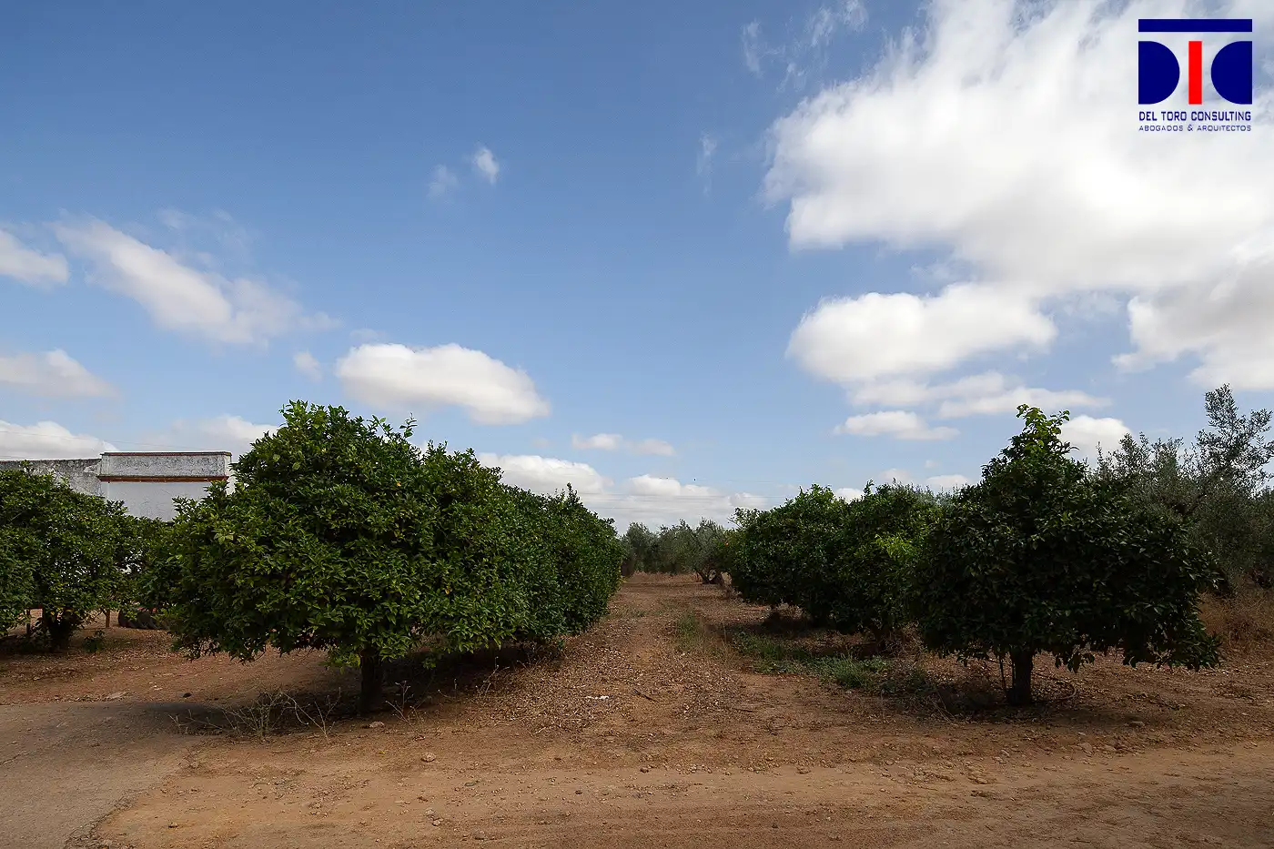 Finca rústica en venta en Carmona con Jardín privado, Terraza y Piscina