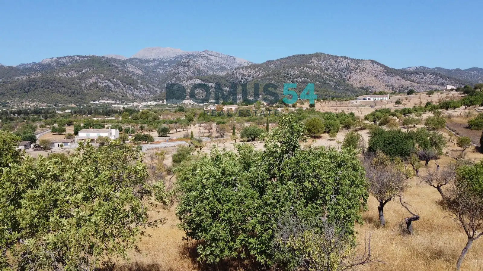 Land for sale in Selva